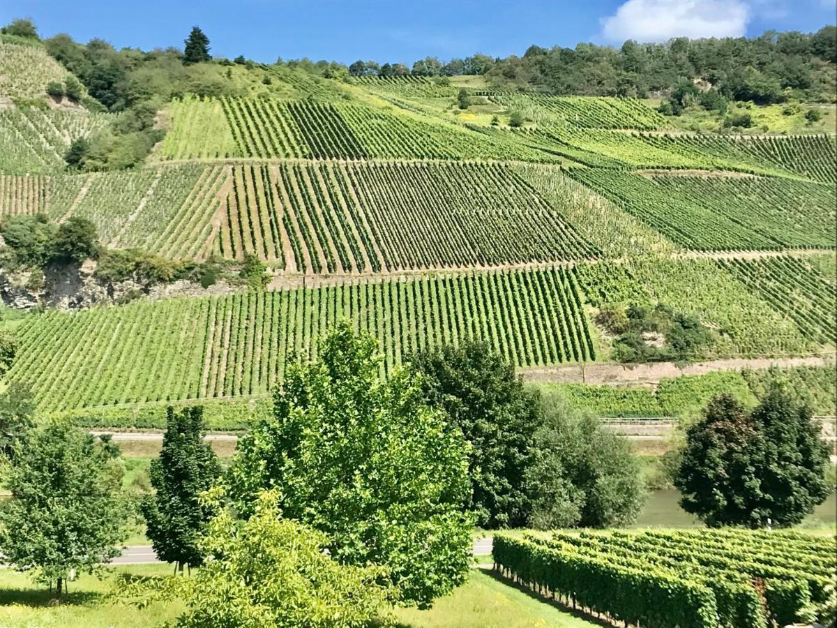 Weinlofts An Der Mosel Mit E10 Ladestation Appartement Köwerich Buitenkant foto