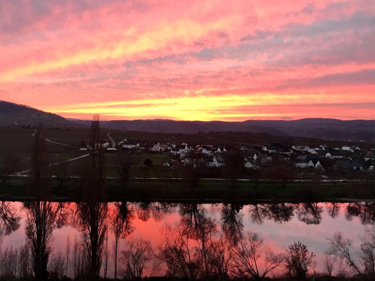 Weinlofts An Der Mosel Mit E10 Ladestation Appartement Köwerich Buitenkant foto