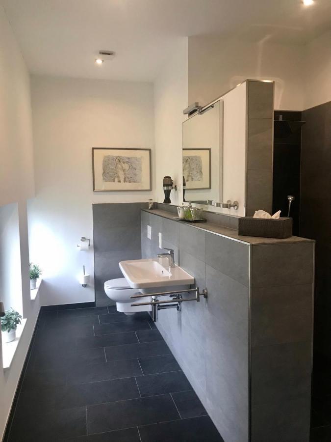 Weinlofts An Der Mosel Mit E10 Ladestation Appartement Köwerich Buitenkant foto