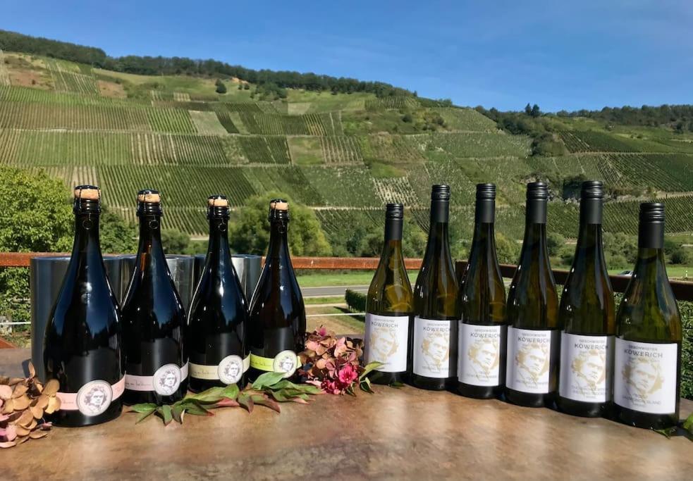 Weinlofts An Der Mosel Mit E10 Ladestation Appartement Köwerich Buitenkant foto